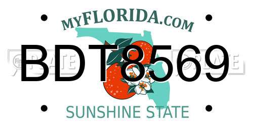 BDT8569 Florida License Plate