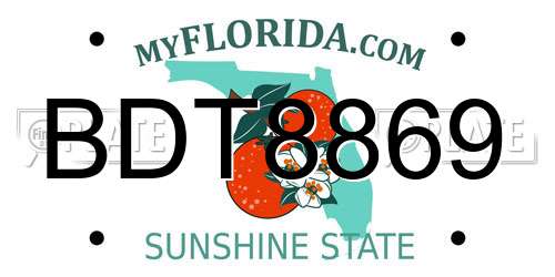 BDT8869 Florida License Plate