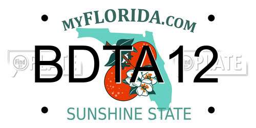 BDTA12 Florida License Plate