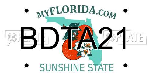 BDTA21 Florida License Plate