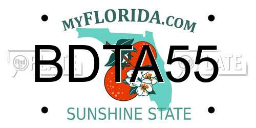 BDTA55 Florida License Plate