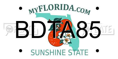 BDTA85 Florida License Plate