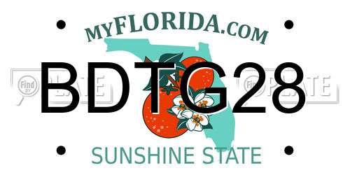 BDTG28 Florida License Plate