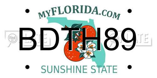 BDTH89 Florida License Plate