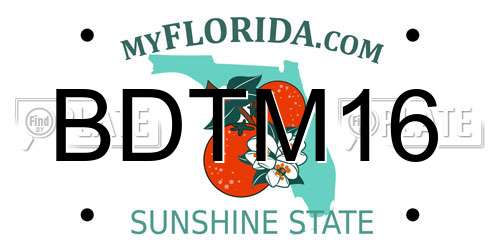 BDTM16 Florida License Plate