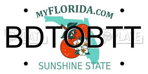 BDTOBTT Florida License Plate