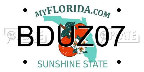 BDUZ07 Florida License Plate