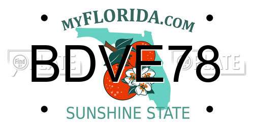 BDVE78 Florida License Plate