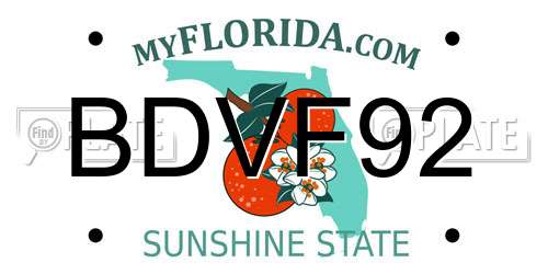 BDVF92 Florida License Plate