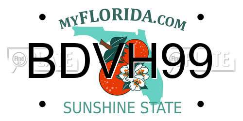 BDVH99 Florida License Plate