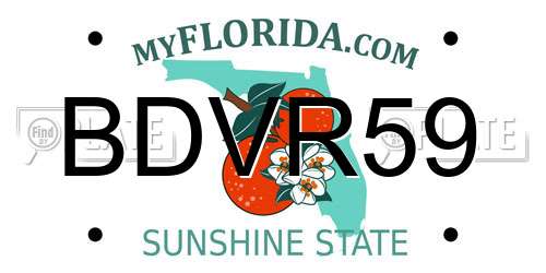 BDVR59 Florida License Plate
