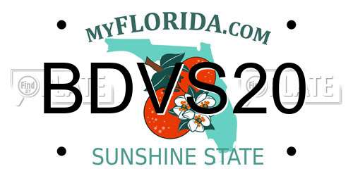 BDVS20 Florida License Plate