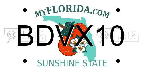 BDVX10 Florida License Plate