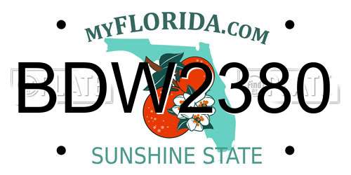 BDW2380 Florida License Plate