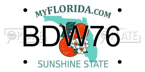 BDW76 Florida License Plate