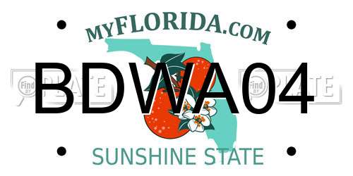 BDWA04 Florida License Plate