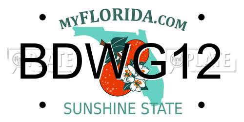 BDWG12 Florida License Plate