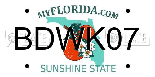 BDWK07 Florida License Plate