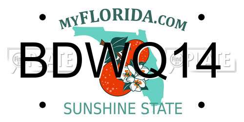 BDWQ14 Florida License Plate