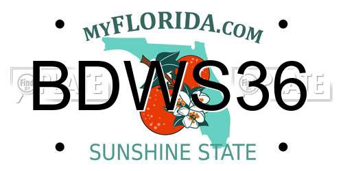 BDWS36 Florida License Plate