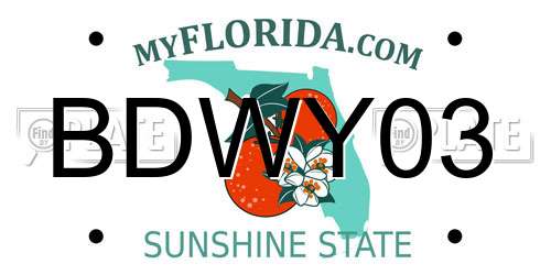 BDWY03 Florida License Plate