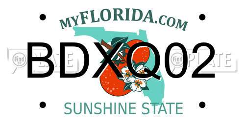 BDXQ02 Florida License Plate