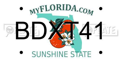 BDXT41 Florida License Plate