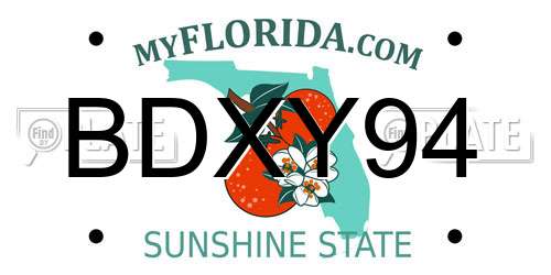 BDXY94 Florida License Plate