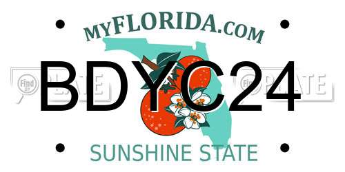 BDYC24 Florida License Plate