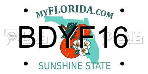 BDYF16 Florida License Plate