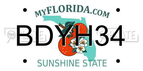 BDYH34 Florida License Plate