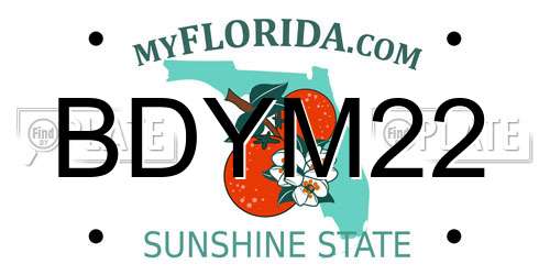 BDYM22 Florida License Plate