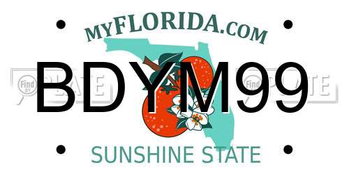 BDYM99 Florida License Plate
