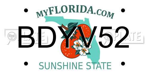 BDYV52 Florida License Plate