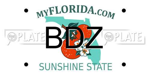 BDZ Florida License Plate