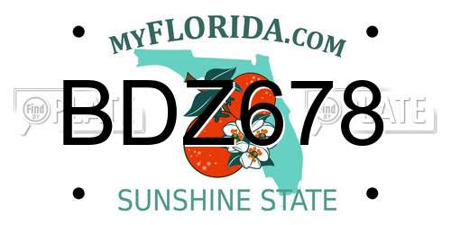 BDZ678 Florida License Plate