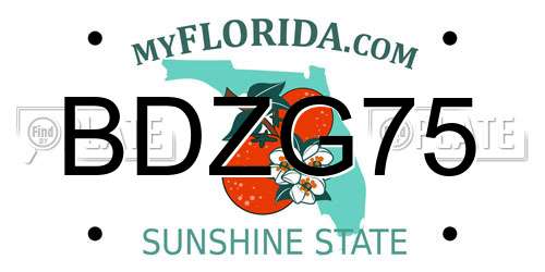 BDZG75 Florida License Plate
