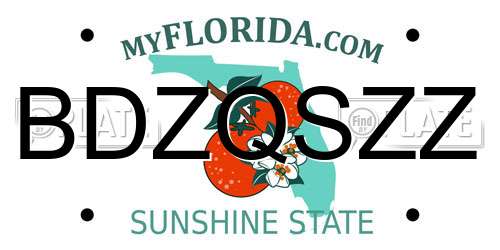 BDZQSZZ Florida License Plate