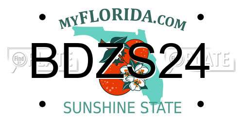 BDZS24 Florida License Plate