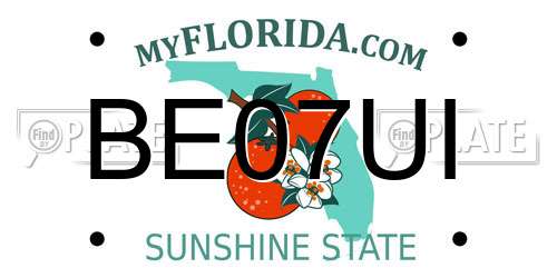 BE07UI Florida License Plate