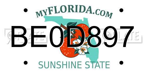 BE0D897 Florida License Plate