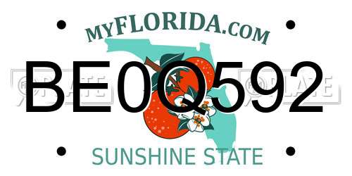 BE0Q592 Florida License Plate