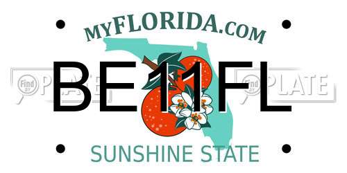 BE11FL Florida License Plate