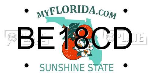 BE18CD Florida License Plate
