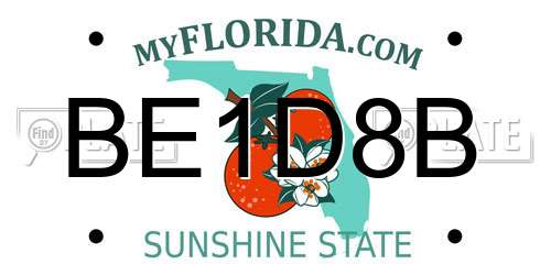 BE1D8B Florida License Plate
