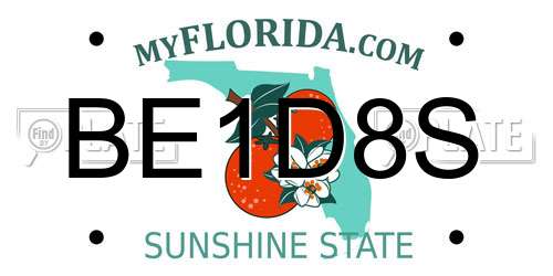BE1D8S Florida License Plate