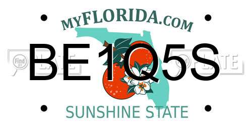 BE1Q5S Florida License Plate