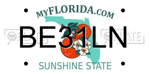 BE31LN Florida License Plate