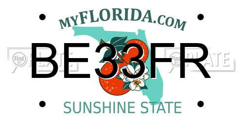 BE33FR Florida License Plate