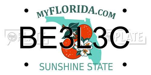 BE3L3C Florida License Plate
